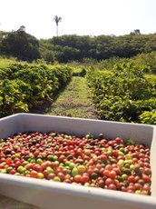 WhatsApp Image 2020-08-25 at 09.25.45 (1).jpeg WhatsApp Image 2020-08-25 at 09.25.45 (1).jpeg