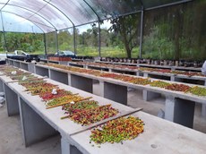 WhatsApp Image 2020-08-25 at 09.26.00.jpeg WhatsApp Image 2020-08-25 at 09.26.00.jpeg