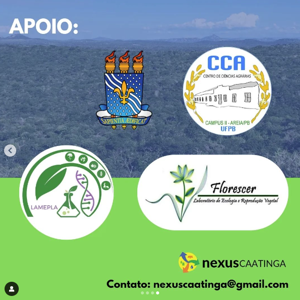 Captura de tela 2024-08-22 142418.png Captura de tela 2024-08-22 142418.png