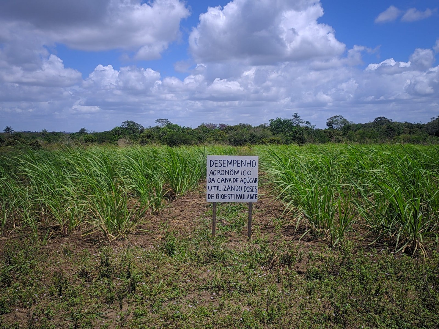 WhatsApp Image 2020-11-28 at 16.16.40 (1).jpeg WhatsApp Image 2020-11-28 at 16.16.40 (1).jpeg