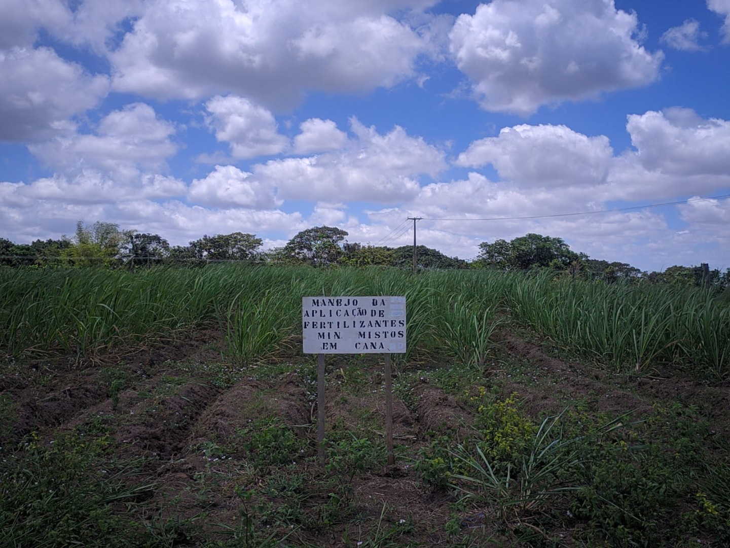 WhatsApp Image 2020-11-28 at 16.16.40 (2).jpeg WhatsApp Image 2020-11-28 at 16.16.40 (2).jpeg