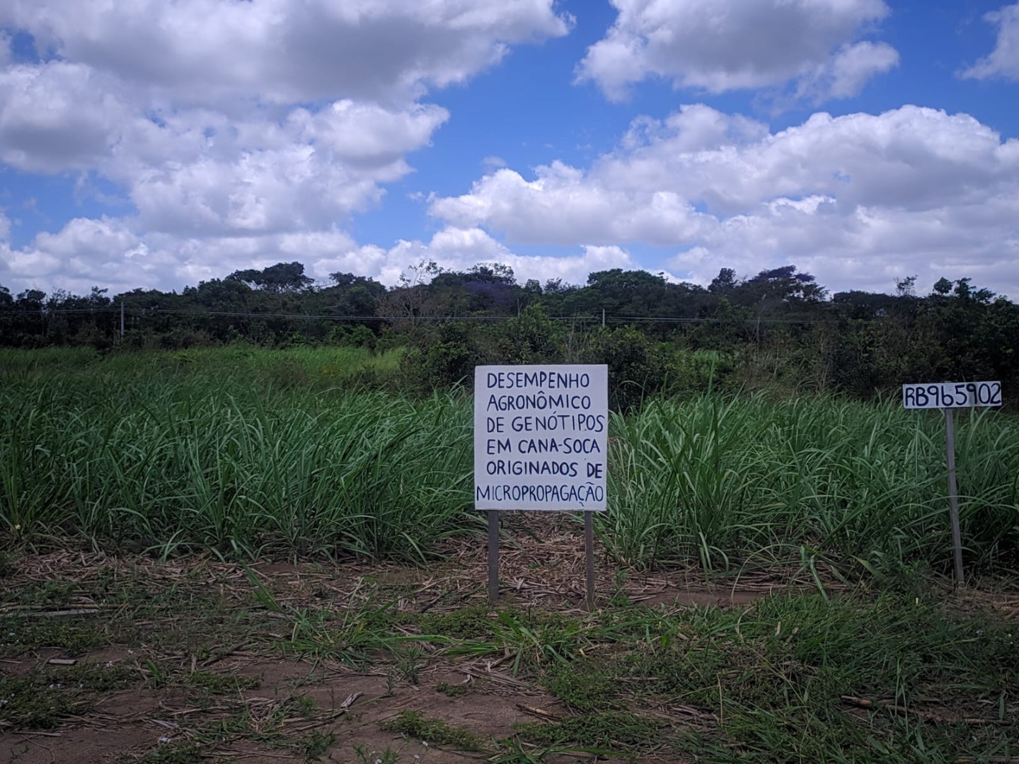 WhatsApp Image 2020-11-28 at 16.16.40.jpeg WhatsApp Image 2020-11-28 at 16.16.40.jpeg