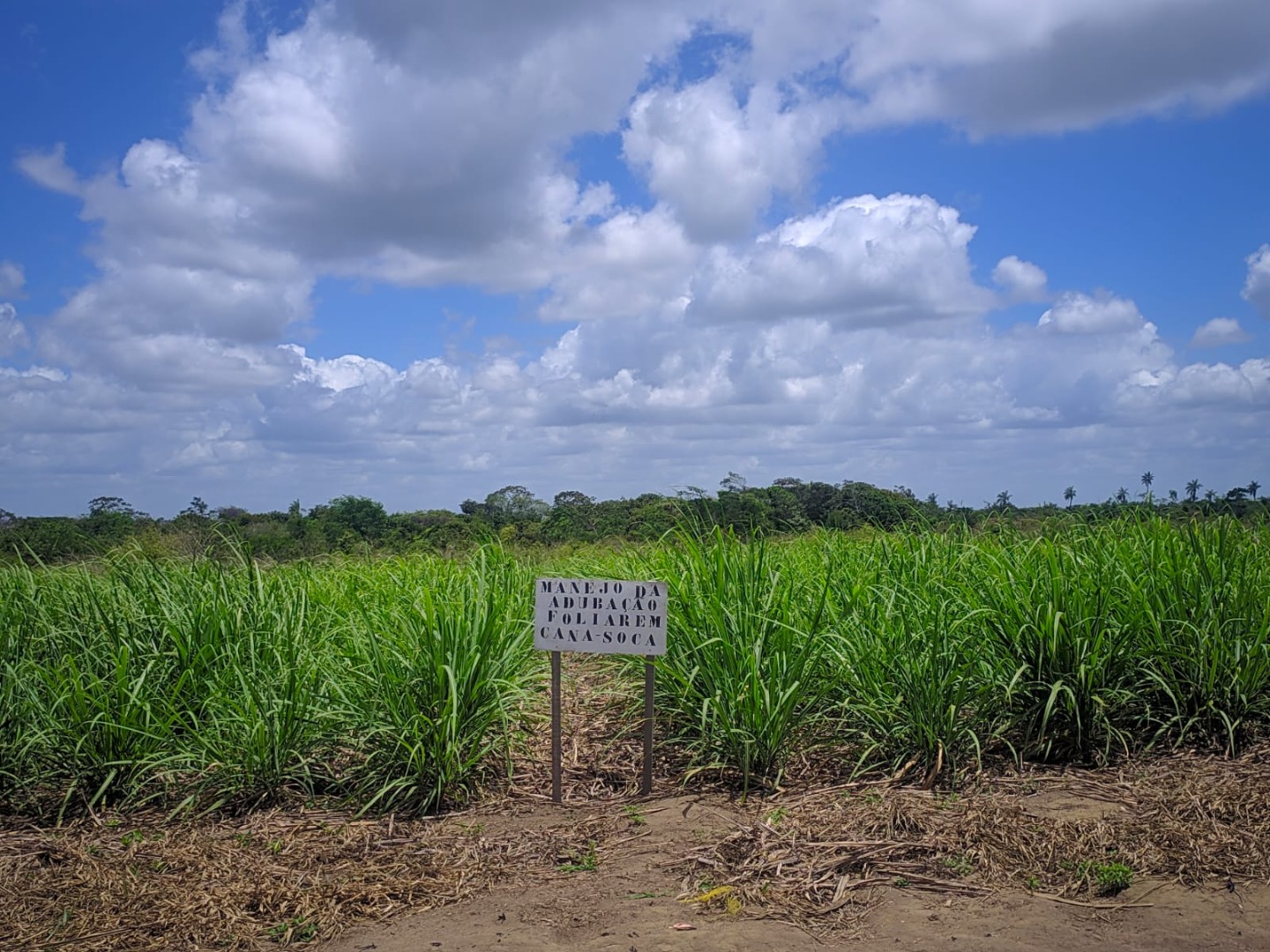 WhatsApp Image 2020-11-28 at 16.16.42 (1).jpeg WhatsApp Image 2020-11-28 at 16.16.42 (1).jpeg