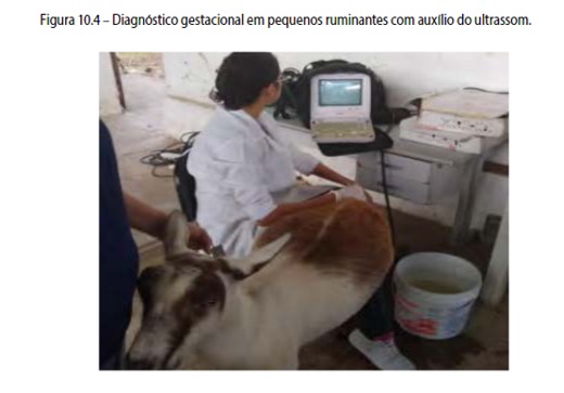 WhatsApp Image 2022-12-08 at 10.47.49 (1).jpeg WhatsApp Image 2022-12-08 at 10.47.49 (1).jpeg