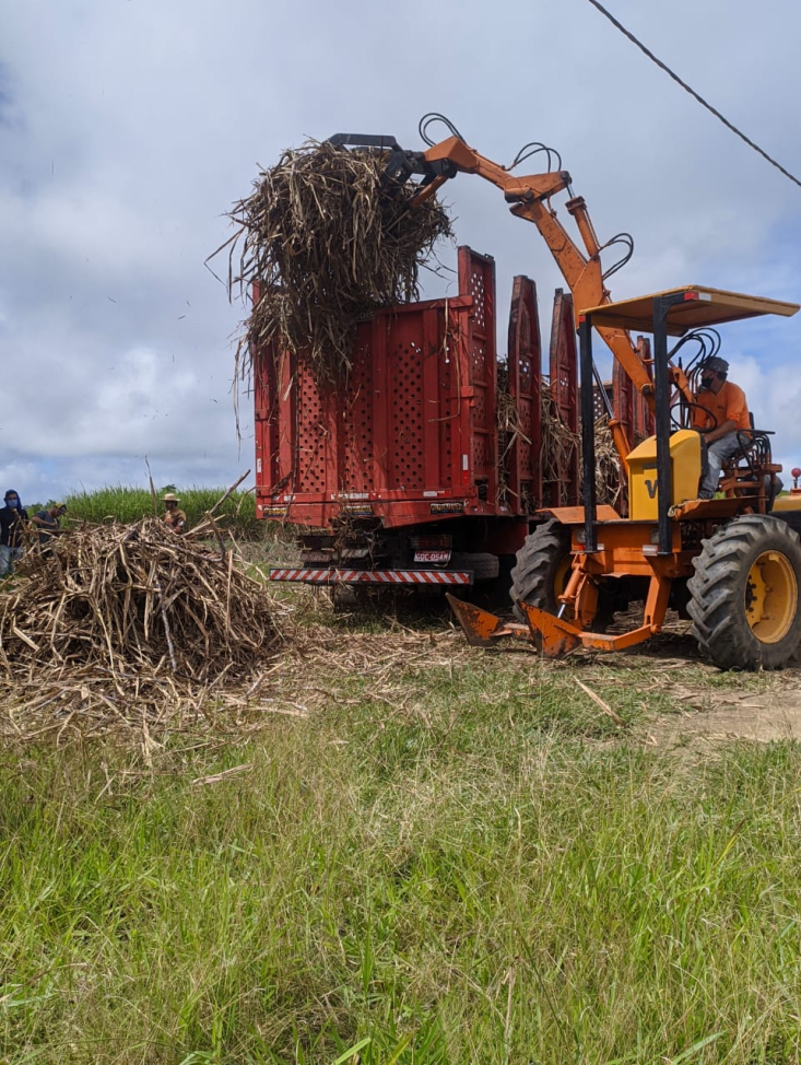 Carregadeira de cana cedida pelo Engenho Triunfo.png Carregadeira de cana cedida pelo Engenho Triunfo.png