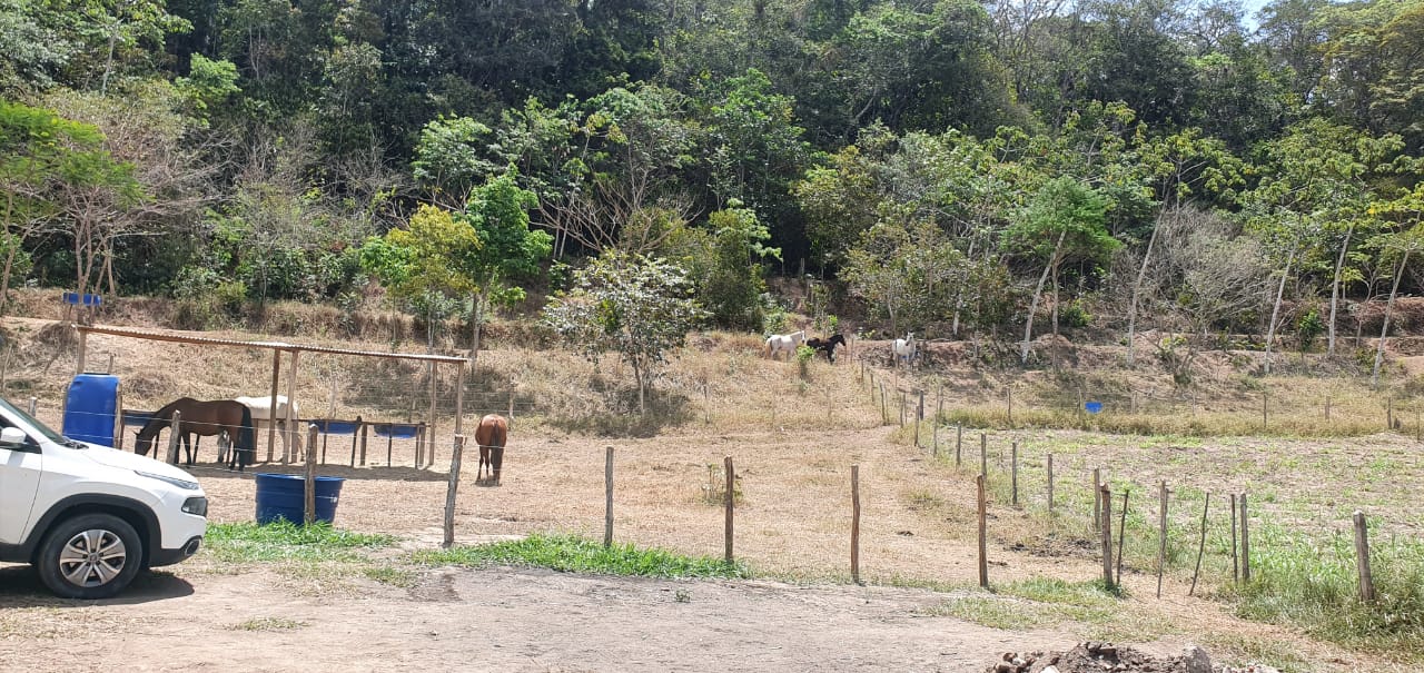 54950c82-164c-4181-955d-1fdedb2de1f4.jpg 54950c82-164c-4181-955d-1fdedb2de1f4.jpg