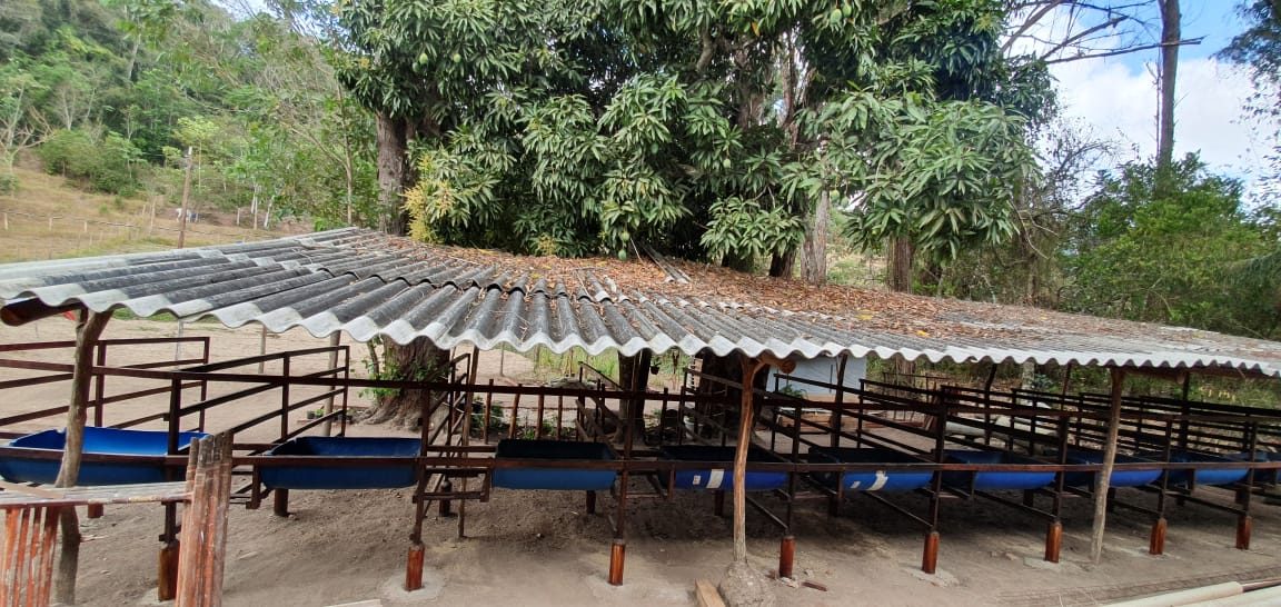 a873c8fd-5525-4471-bd81-1ddb1e2e72c4.jpg a873c8fd-5525-4471-bd81-1ddb1e2e72c4.jpg