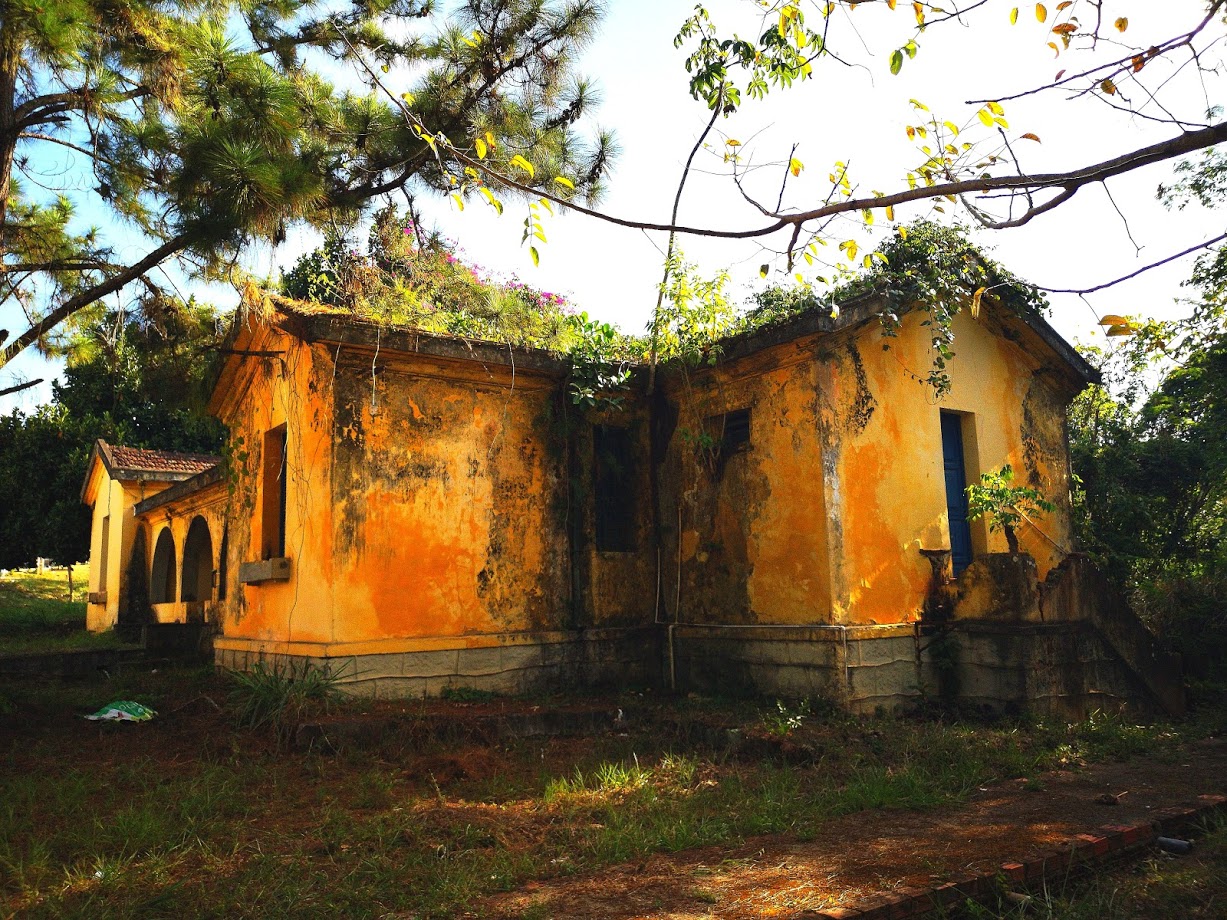 IMG_20181003_162813.jpg IMG_20181003_162813.jpg