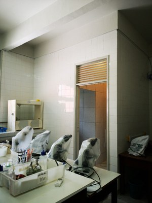 IMG_20190221_091437.jpg IMG_20190221_091437.jpg