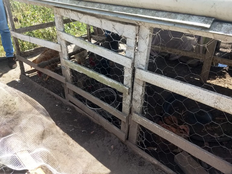 WhatsApp Image 2022-10-15 at 08.26.59.jpeg