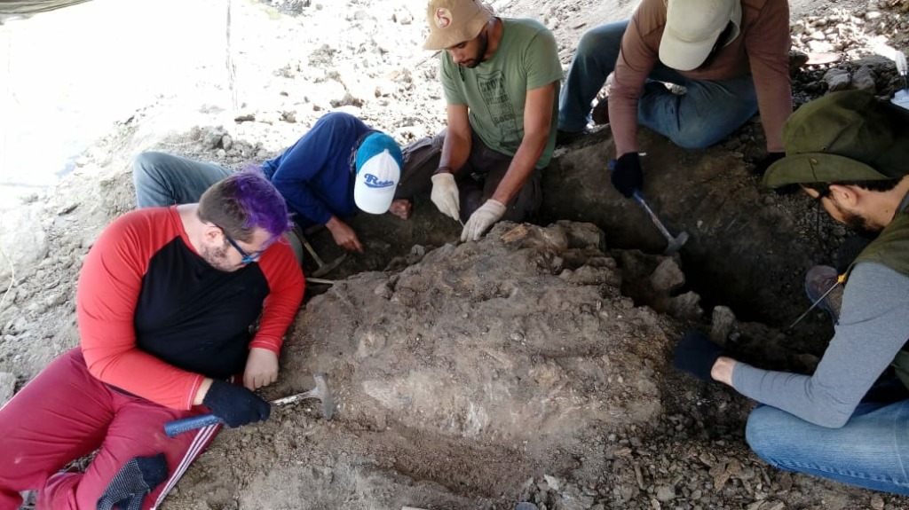 fossImagem 2.jpg fossImagem 2.jpg