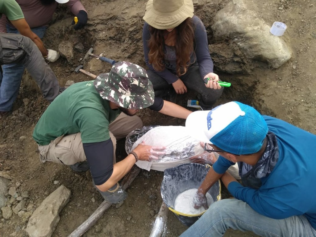 fossImagem 3.jpg fossImagem 3.jpg