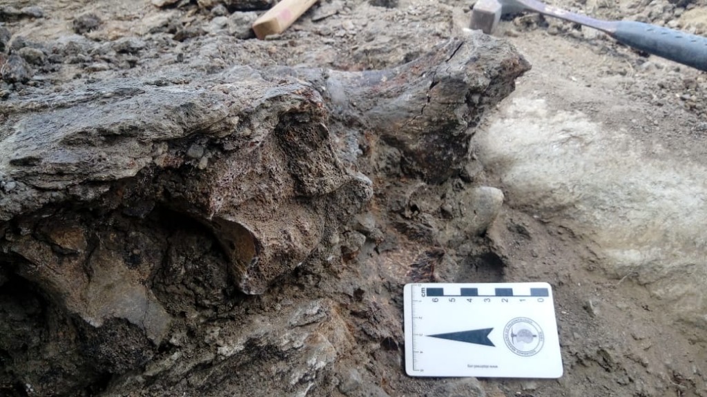 fossImagem 4.jpg fossImagem 4.jpg