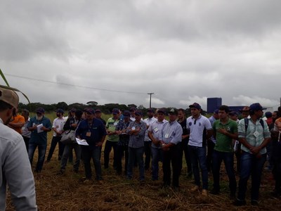 WhatsApp Image 2019-04-26 at 07.00.14 (1).jpeg WhatsApp Image 2019-04-26 at 07.00.14 (1).jpeg