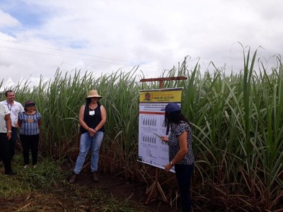 WhatsApp Image 2019-04-26 at 07.00.14 (2).jpeg WhatsApp Image 2019-04-26 at 07.00.14 (2).jpeg