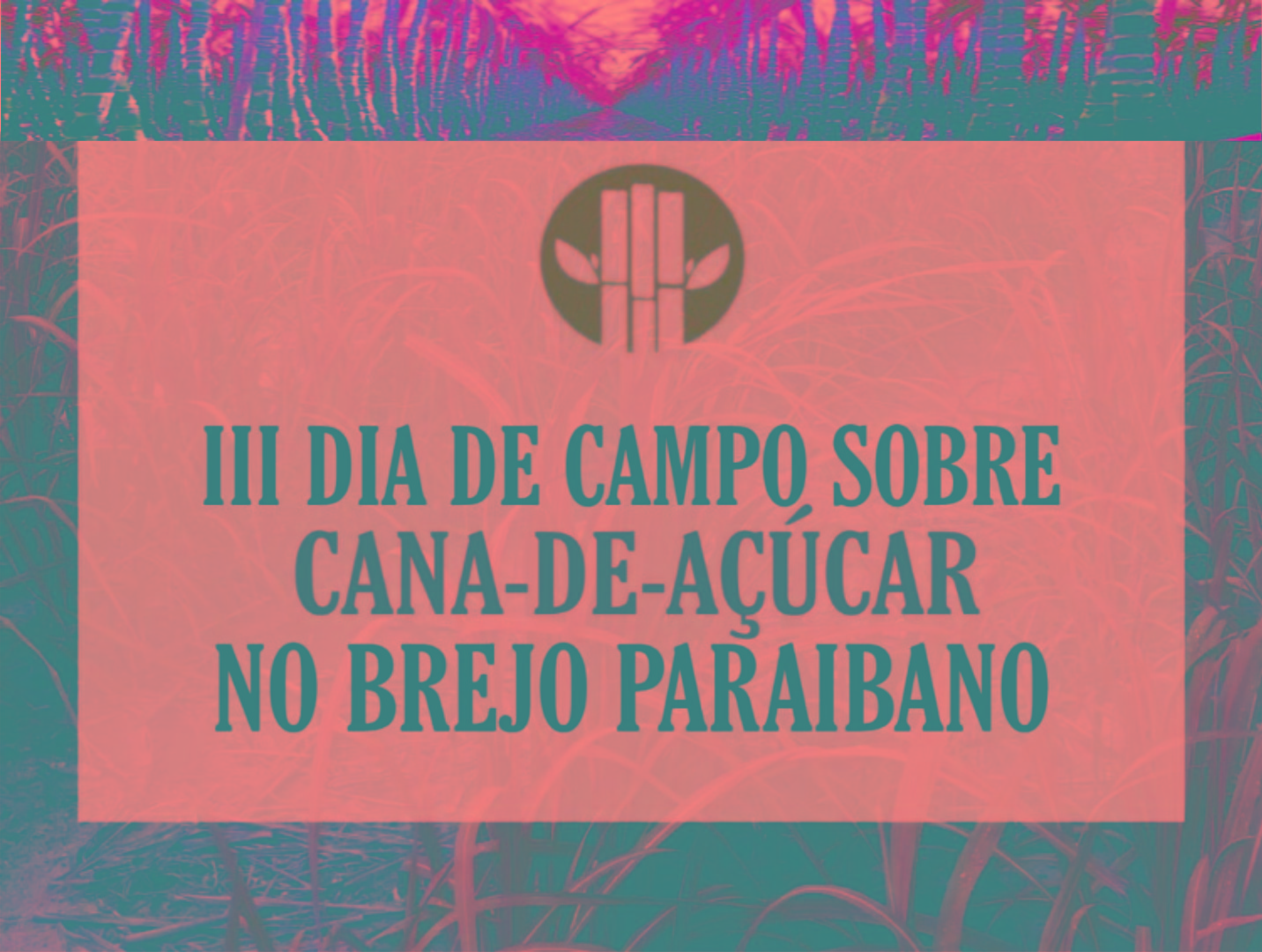 III Dia de campo.jpg