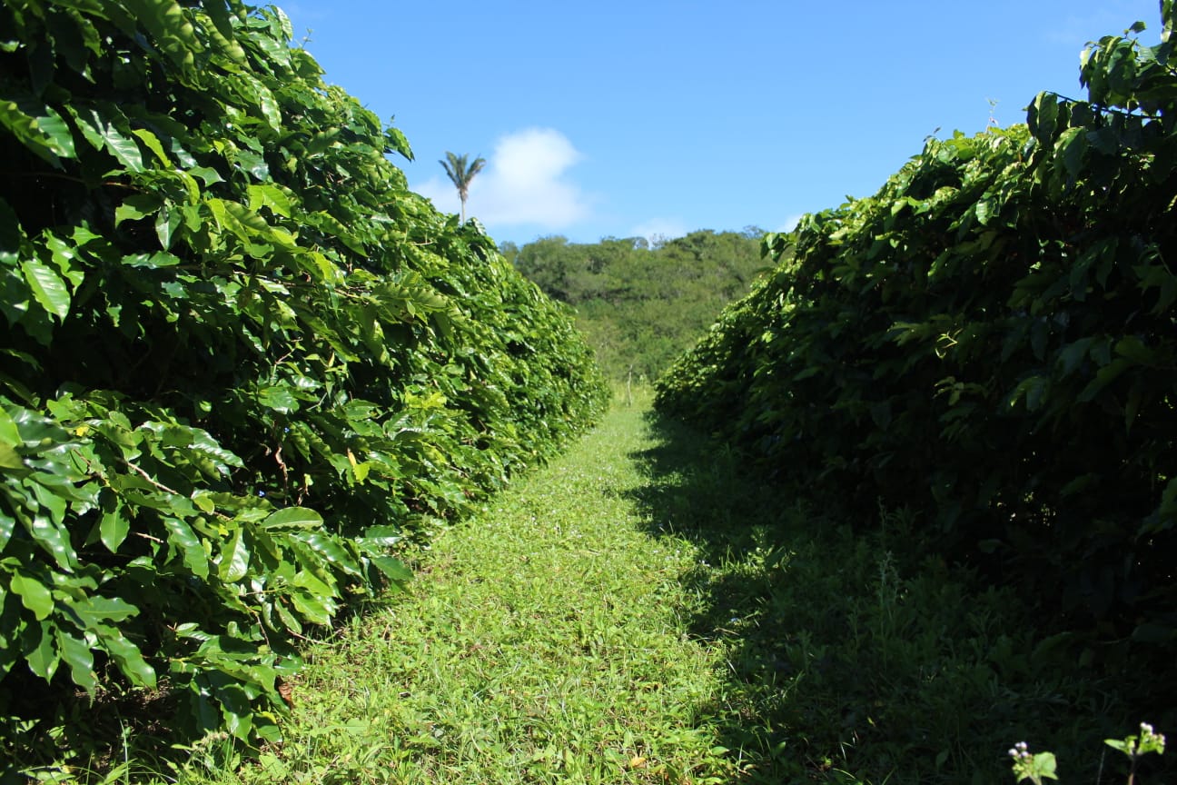 WhatsApp Image 2022-08-30 at 15.28.04.jpeg