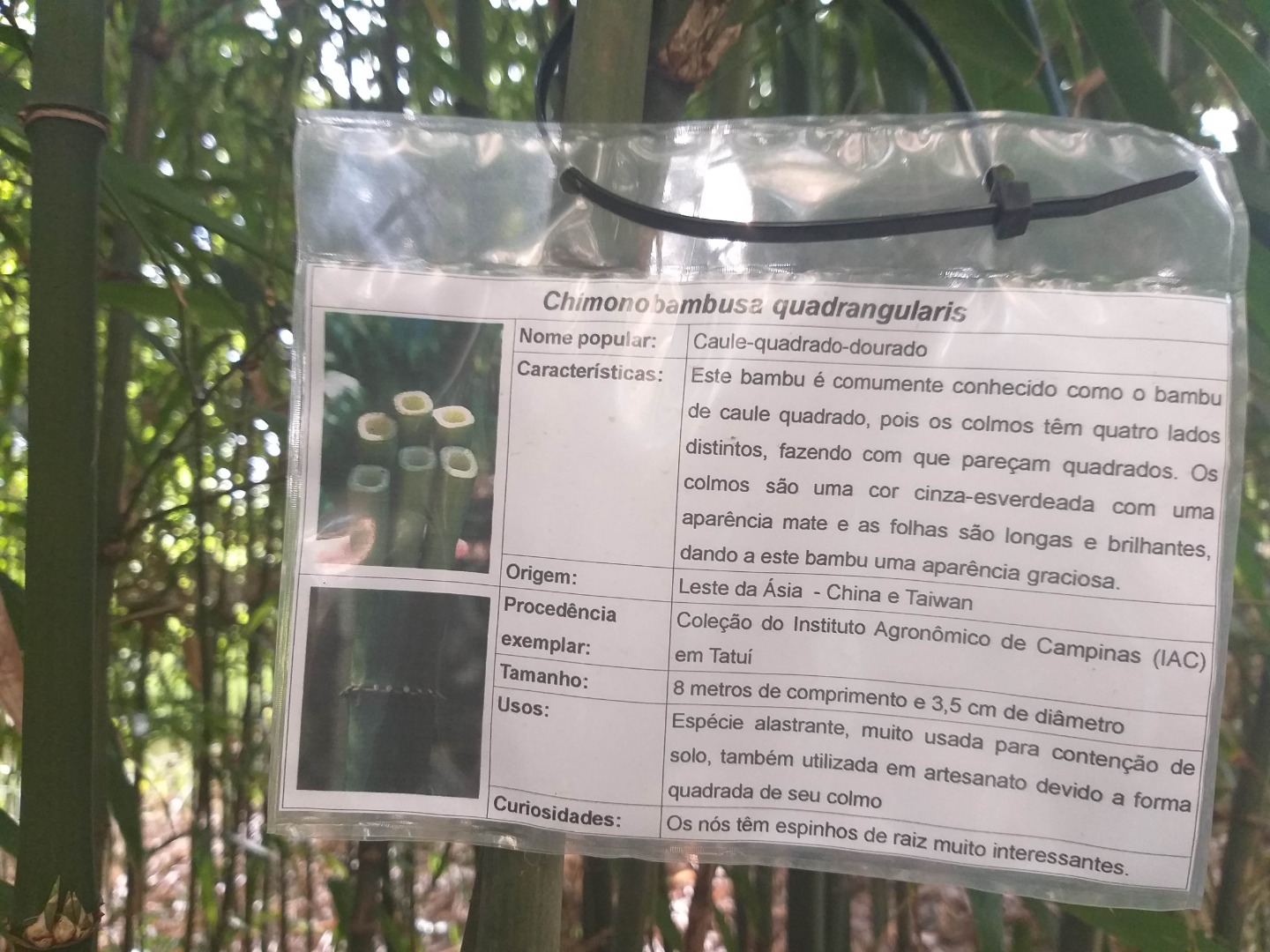 20190717_161549.jpg 20190717_161549.jpg