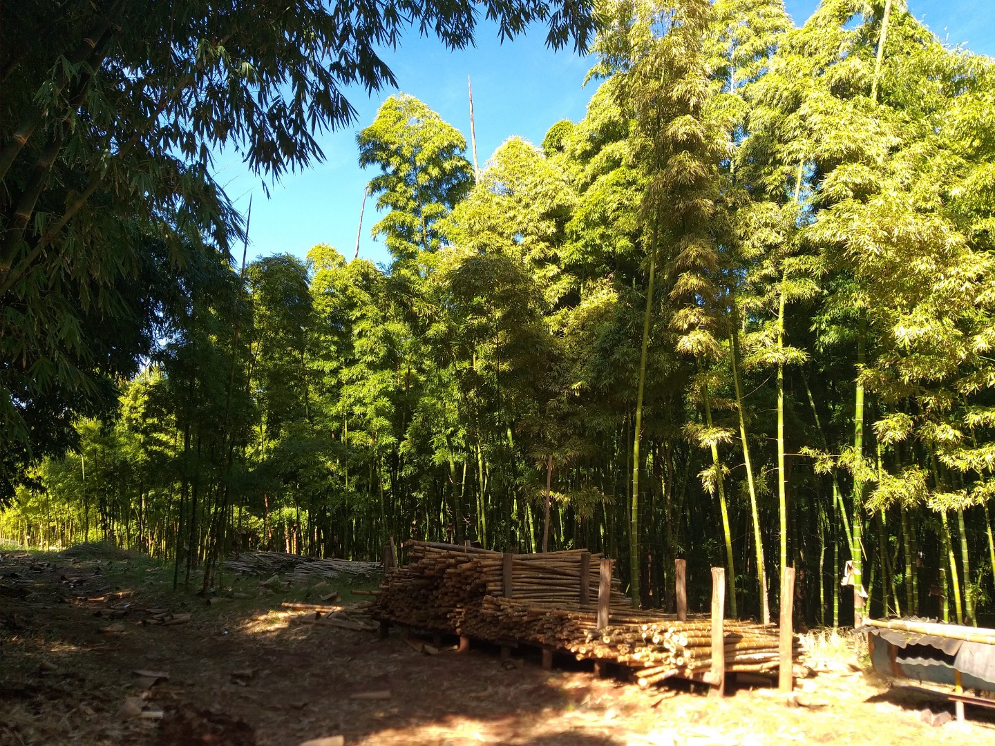 20190718_105642.jpg 20190718_105642.jpg