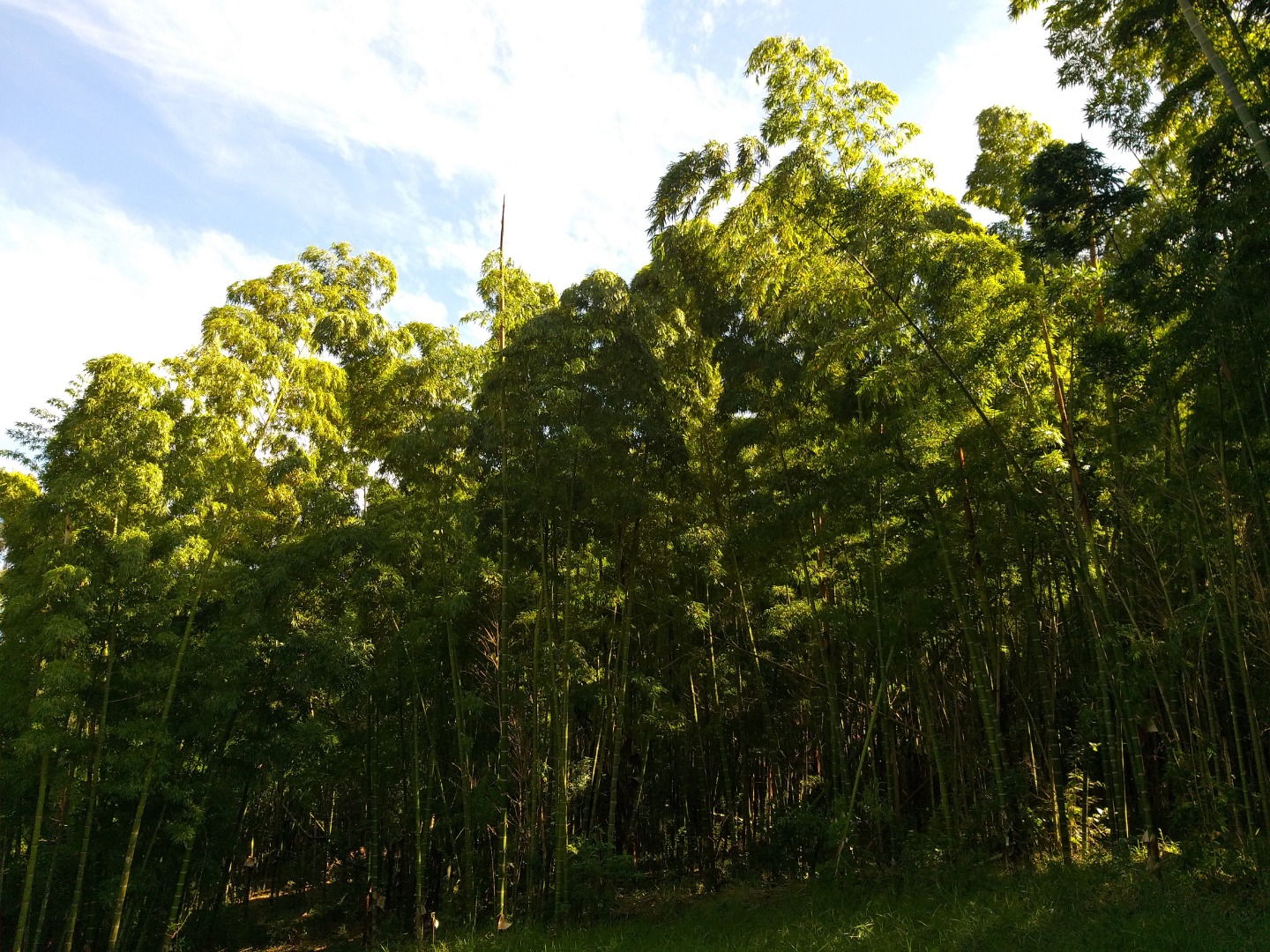 20190718_110444.jpg 20190718_110444.jpg