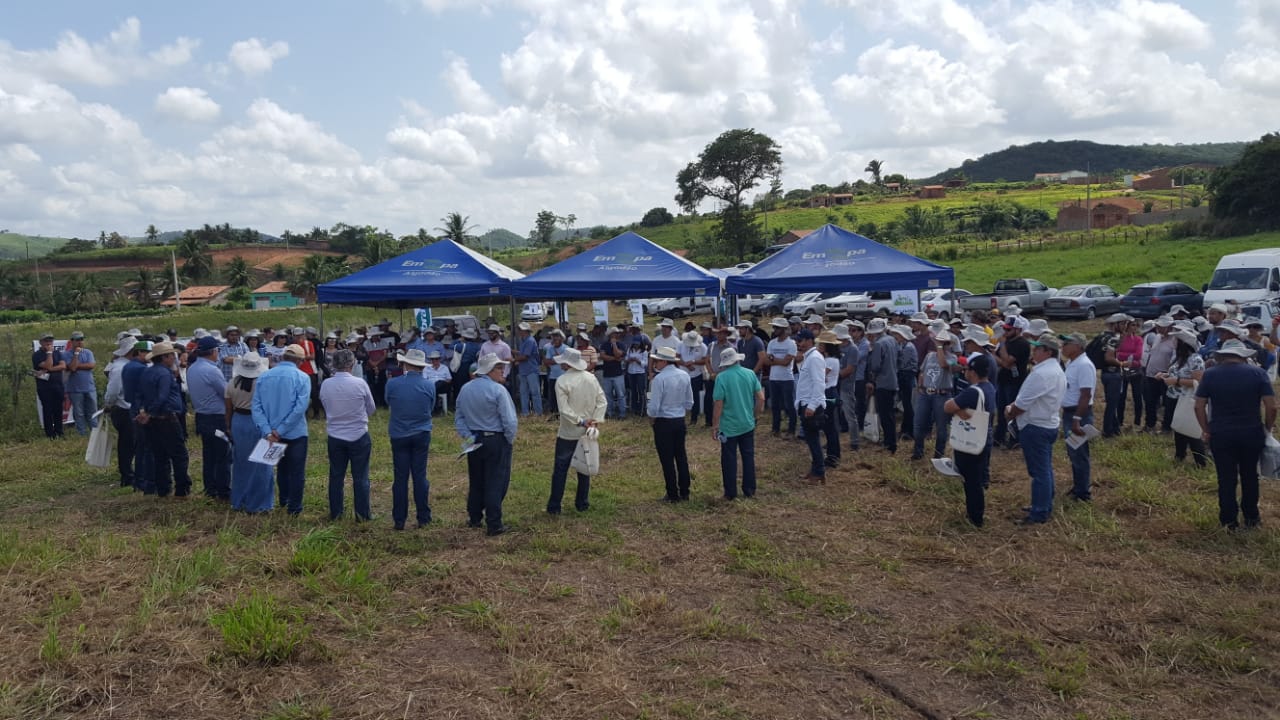 WhatsApp Image 2019-09-16 at 08.54.04(1).jpeg