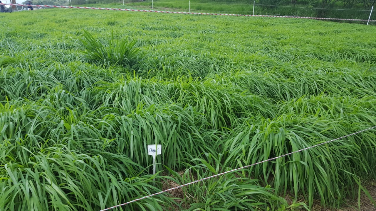 WhatsApp Image 2019-09-16 at 08.54.07(2).jpeg