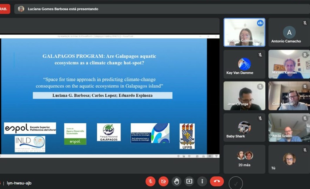 WhatsApp Image 2022-06-14 at 00.00.51.jpeg WhatsApp Image 2022-06-14 at 00.00.51.jpeg