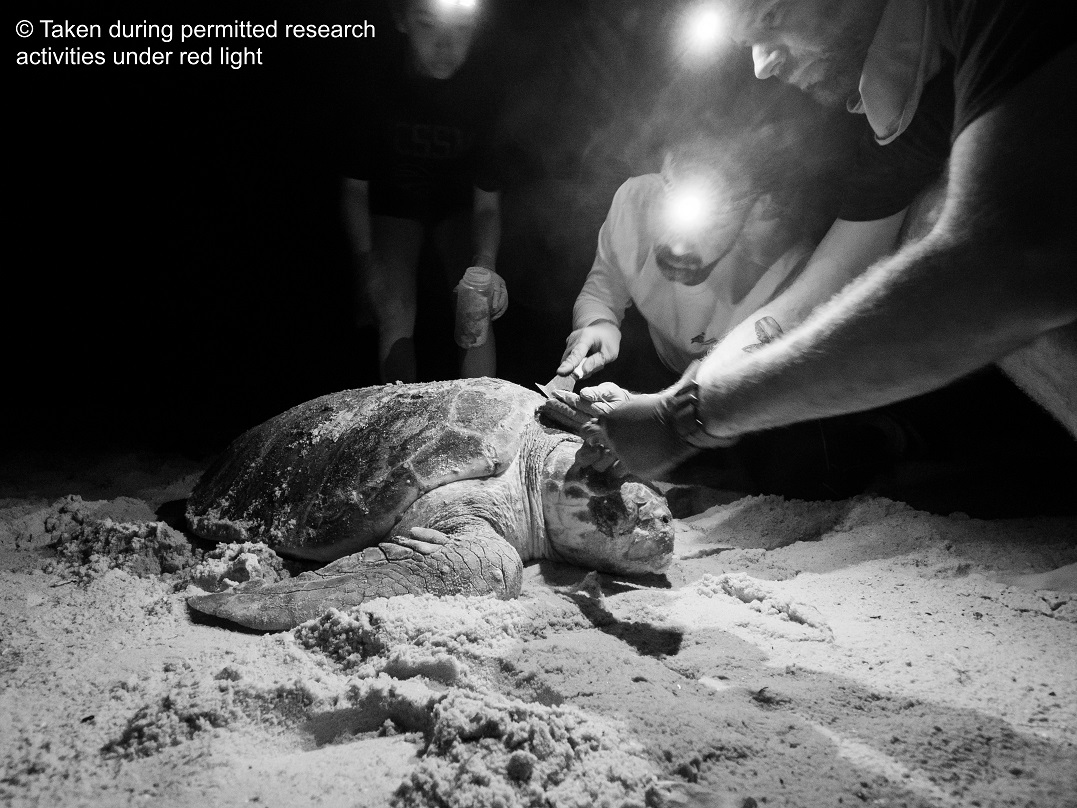 P7010021 Yirina.jpg P7010021 Yirina.jpg