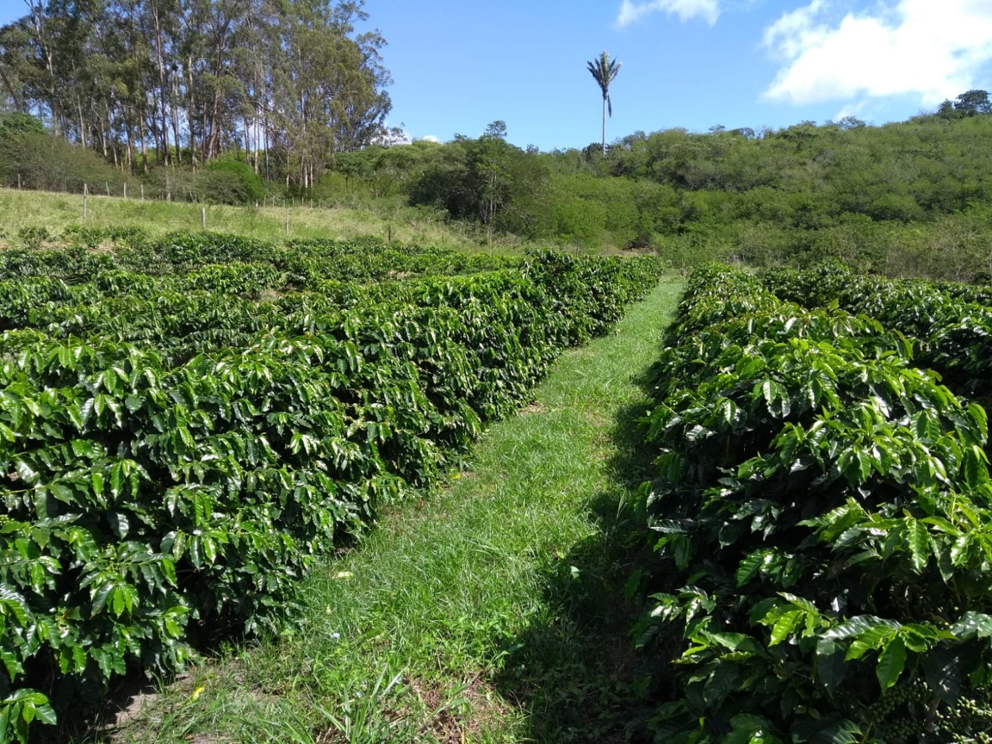 Café CCA (5).jpeg Café CCA (5).jpeg