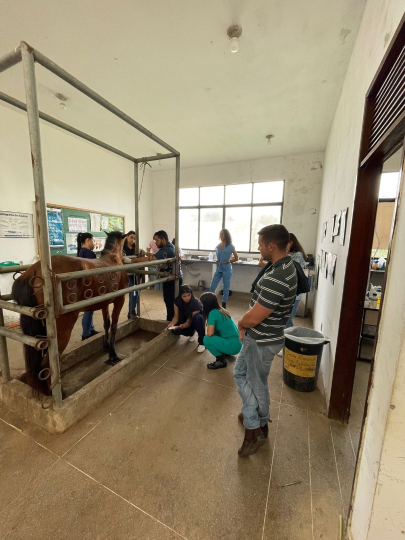 WhatsApp Image 2022-09-22 at 10.02.14.jpeg WhatsApp Image 2022-09-22 at 10.02.14.jpeg