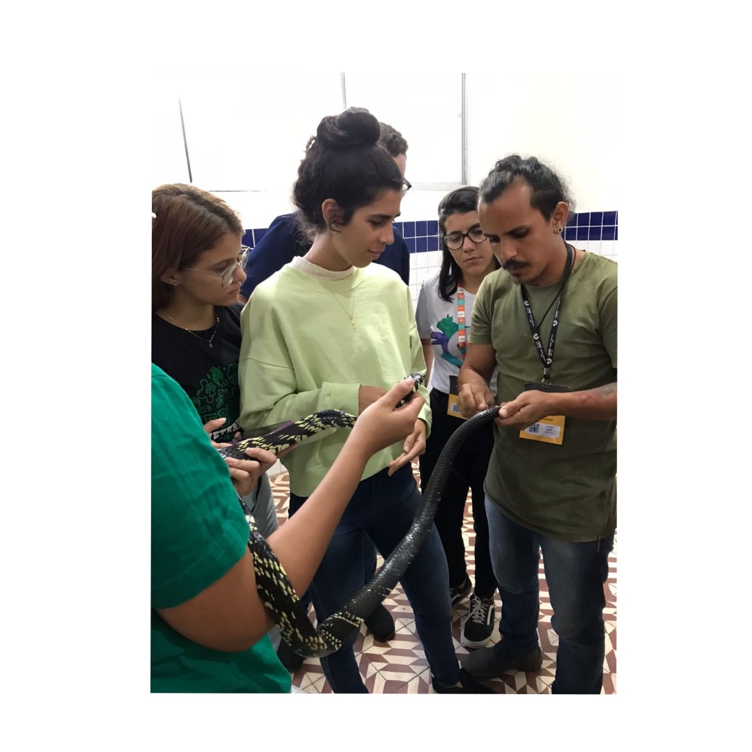 WhatsApp Image 2022-09-22 at 10.02.15.jpeg WhatsApp Image 2022-09-22 at 10.02.15.jpeg