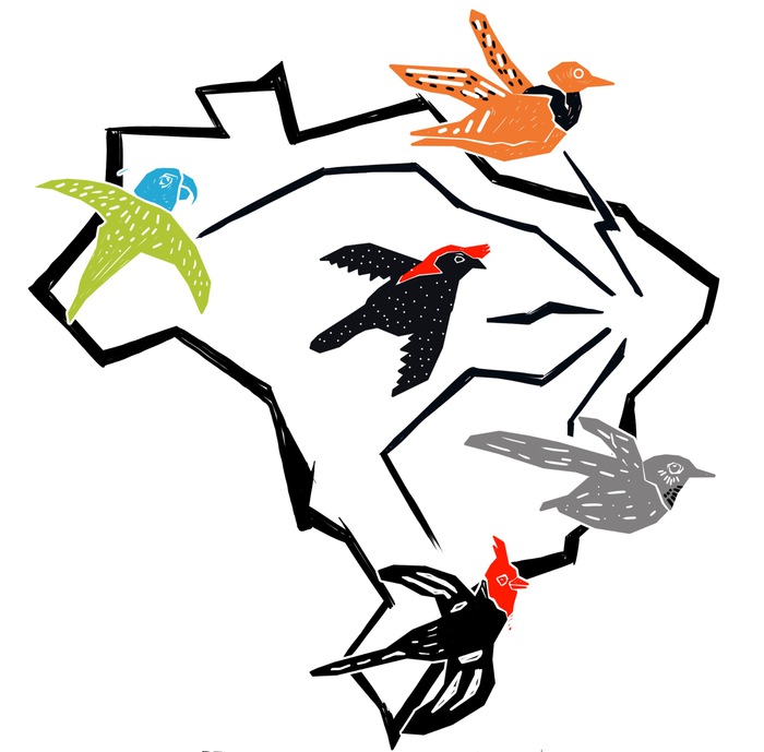 logo_mapa_CBO.jpg logo_mapa_CBO.jpg