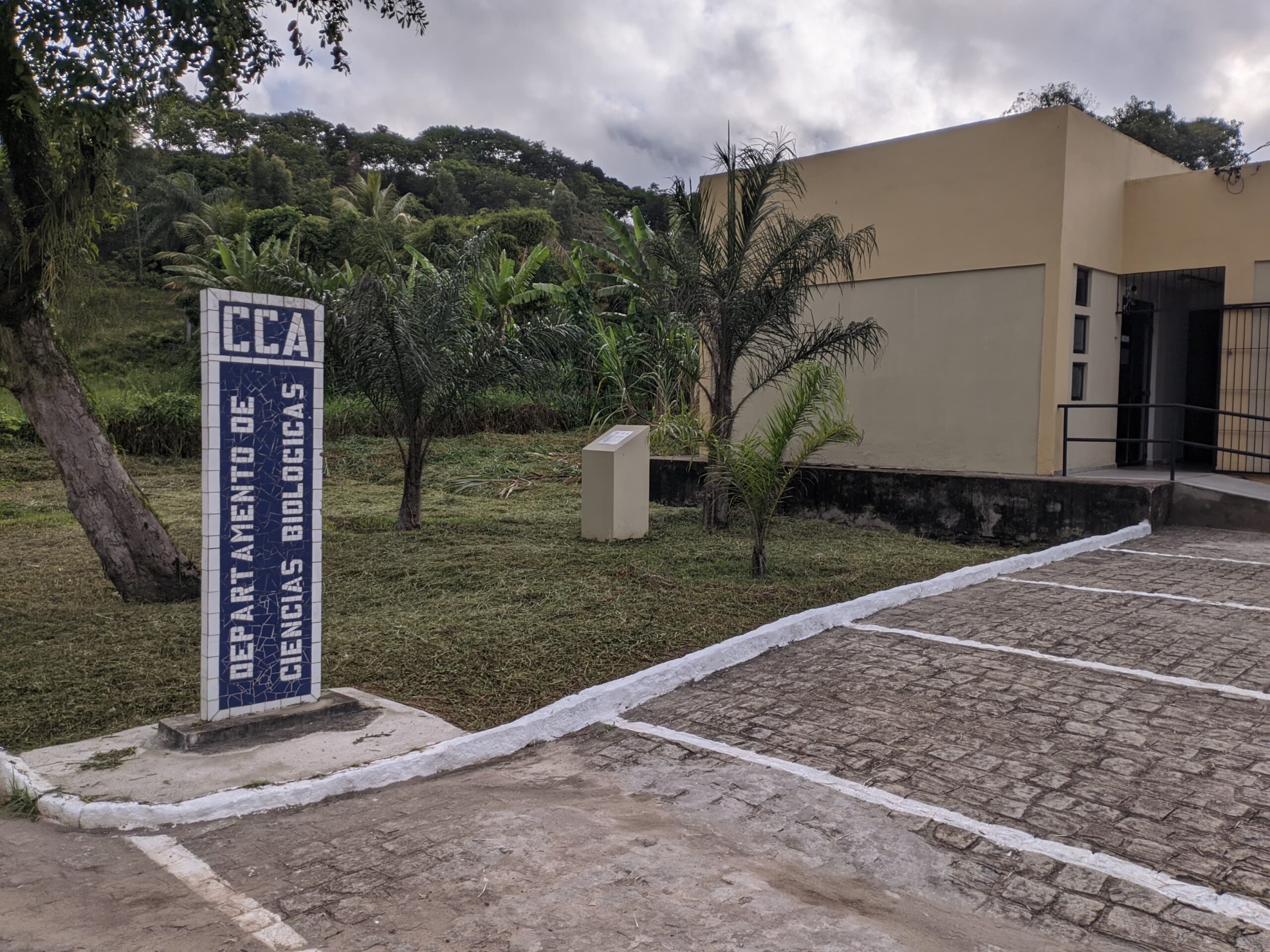 Imagem decorativa do site