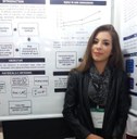 Trabalho Apresentado: "How green additives affect the water heating profile under ultrasound irradiation: a methodological study" 