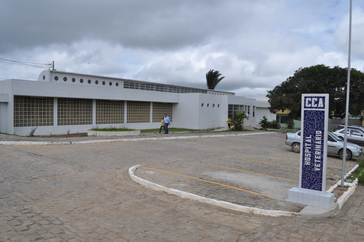 hospital-veterinc3a1rio.jpg