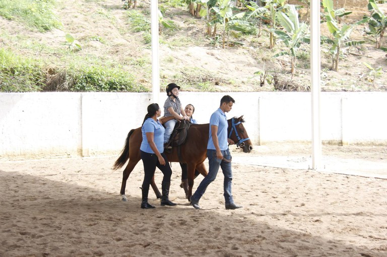 Sessão de equoterapia. IMAGEM- Página da APAE de Areia 3