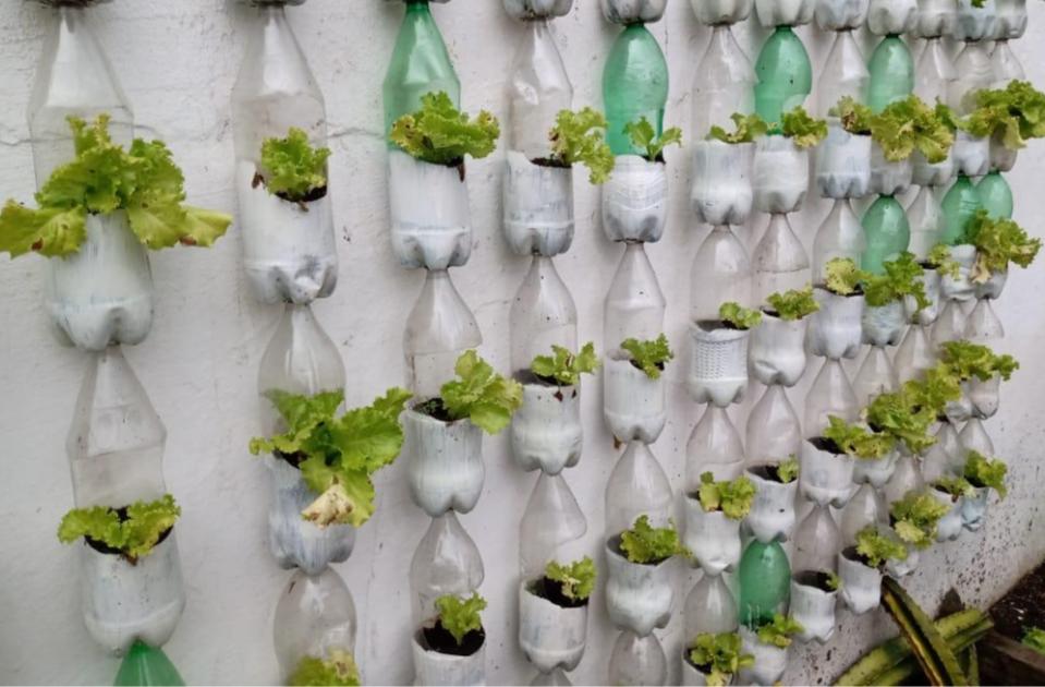 Horta agroecológica na Cadeia Pública de Bananeiras_Imagem cedida pelo projeto1