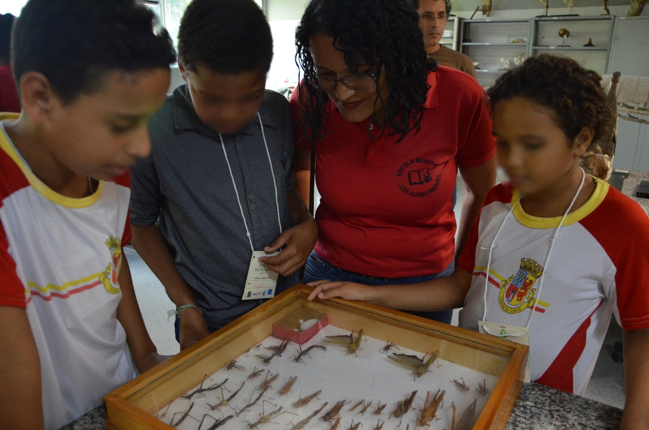 <built-in function id>