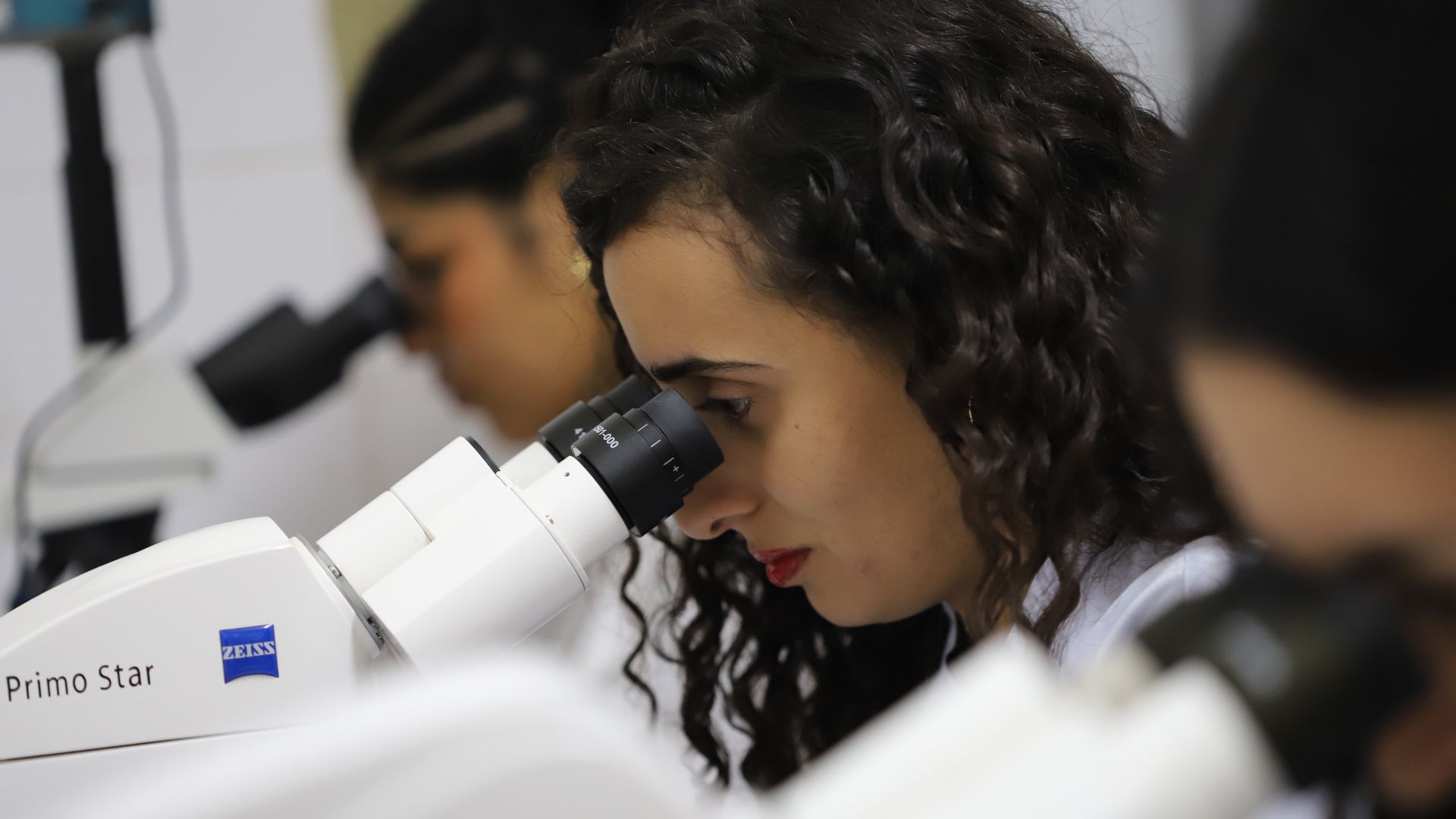 Pesquisa da UFPB evidencia práticas do colonialismo científico entre Norte e Sul Global em estudos na área da biodiversidade