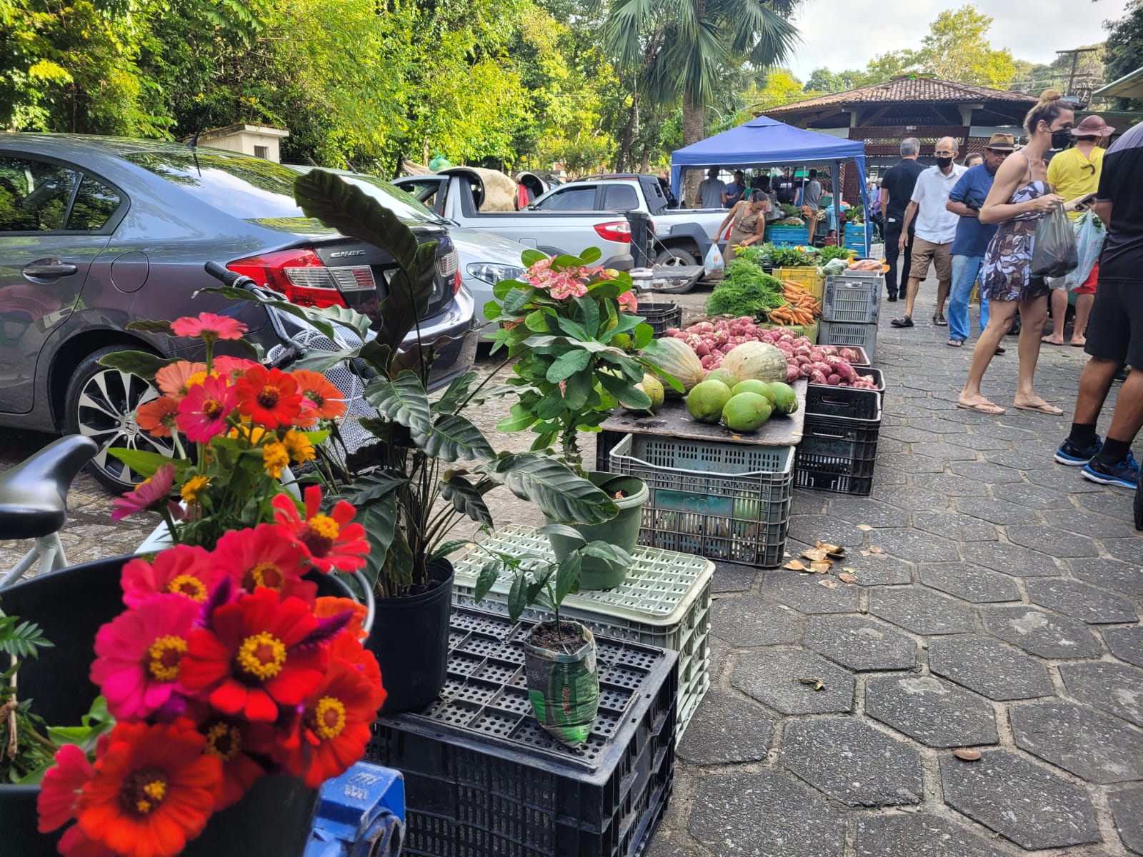 BARRACA DA CIÊNCIA É NOVIDADE NO CENTRO DE VIVÊNCIAS DA UFPB Foto: Divulgação