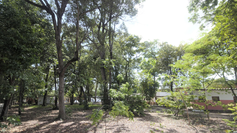 041020241.jpg 041020241.jpg