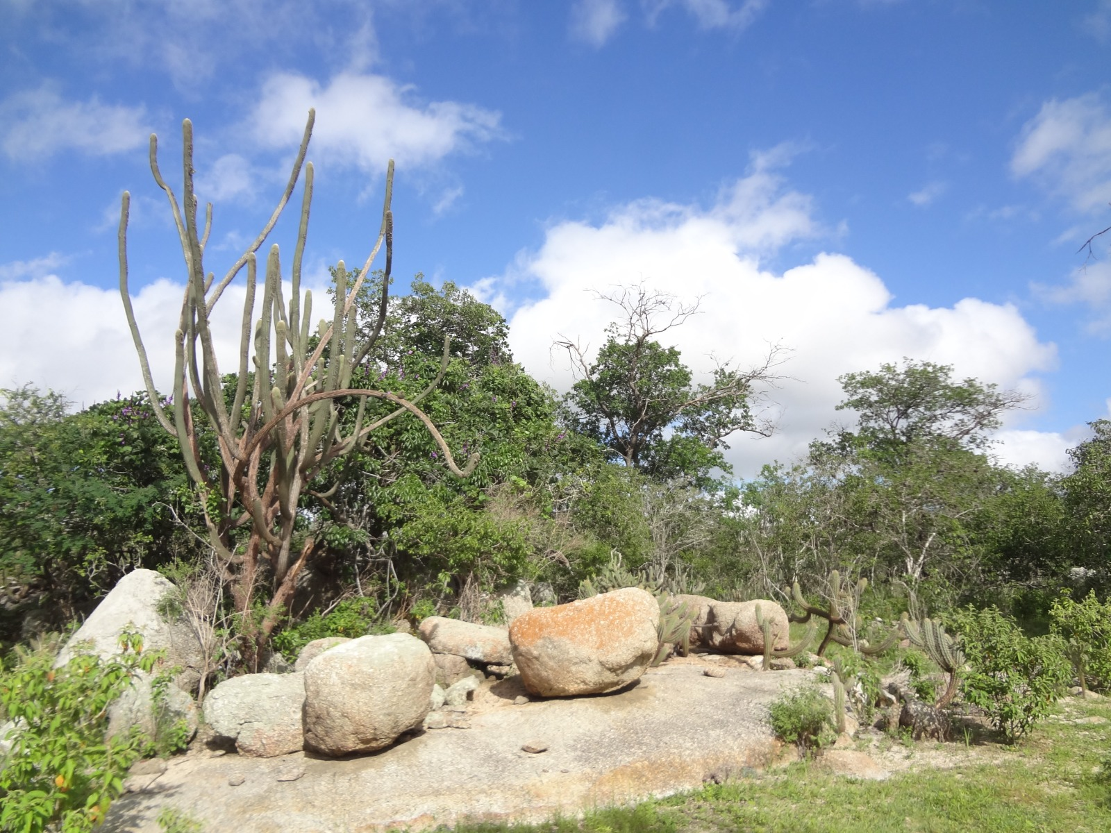 Pesquisa da UFPB revela que Cabaceiras, o município mais seco do Brasil, já teve um ambiente muito mais úmido Foto: Acervo pessoal