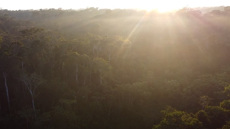PESQUISADORES DA UFPB INTEGRAM GRUPO QUE ESTUDA IMPACTOS METEOROLÓGICOS DE DISTANTES REGIÕES DO GLOBO NA AMAZÔNIA