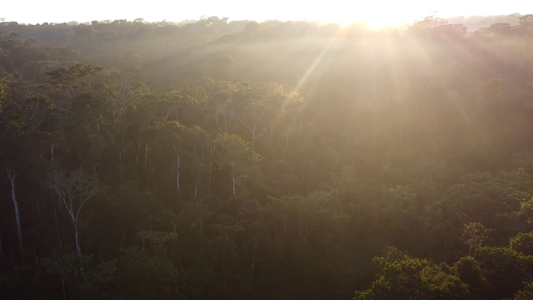 PESQUISADORES DA UFPB INTEGRAM GRUPO QUE ESTUDA IMPACTOS METEOROLÓGICOS DE DISTANTES REGIÕES DO GLOBO NA AMAZÔNIA