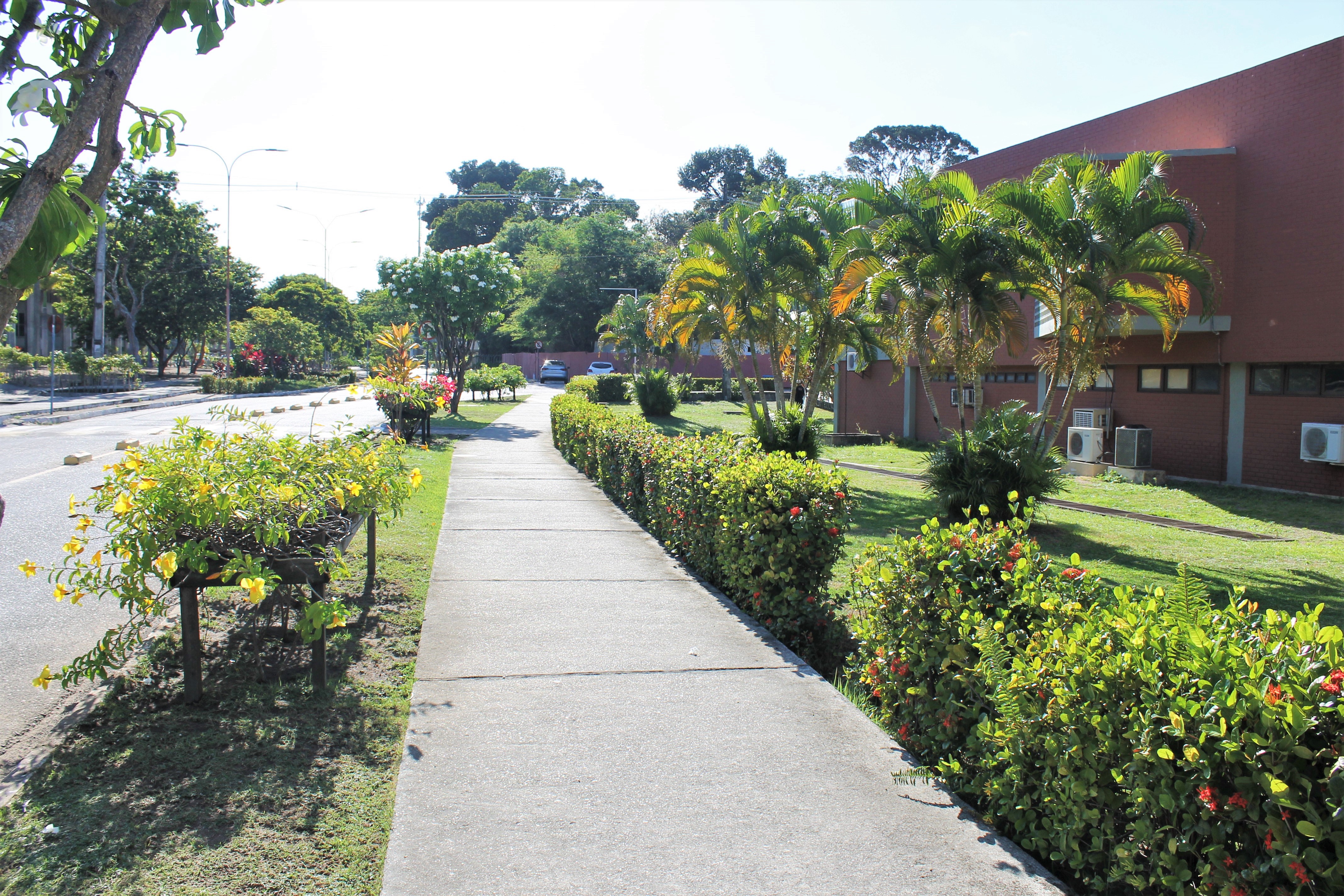 PRÓ-REITORIA DE GRADUAÇÃO DA UFPB SELECIONA ESTAGIÁRIOS PARA VAGAS IMEDIATAS E CADASTRO DE RESERVA Foto: Angélica Gouveia