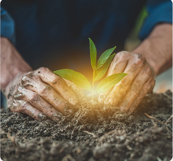 PROFESSOR DA UFPB TEM PROJETO DE PESQUISA APROVADO EM CHAMADA PÚBLICA DO INSTITUTO SERRAPILHEIRA Foto: Divulgação/IDEAL-UFPB