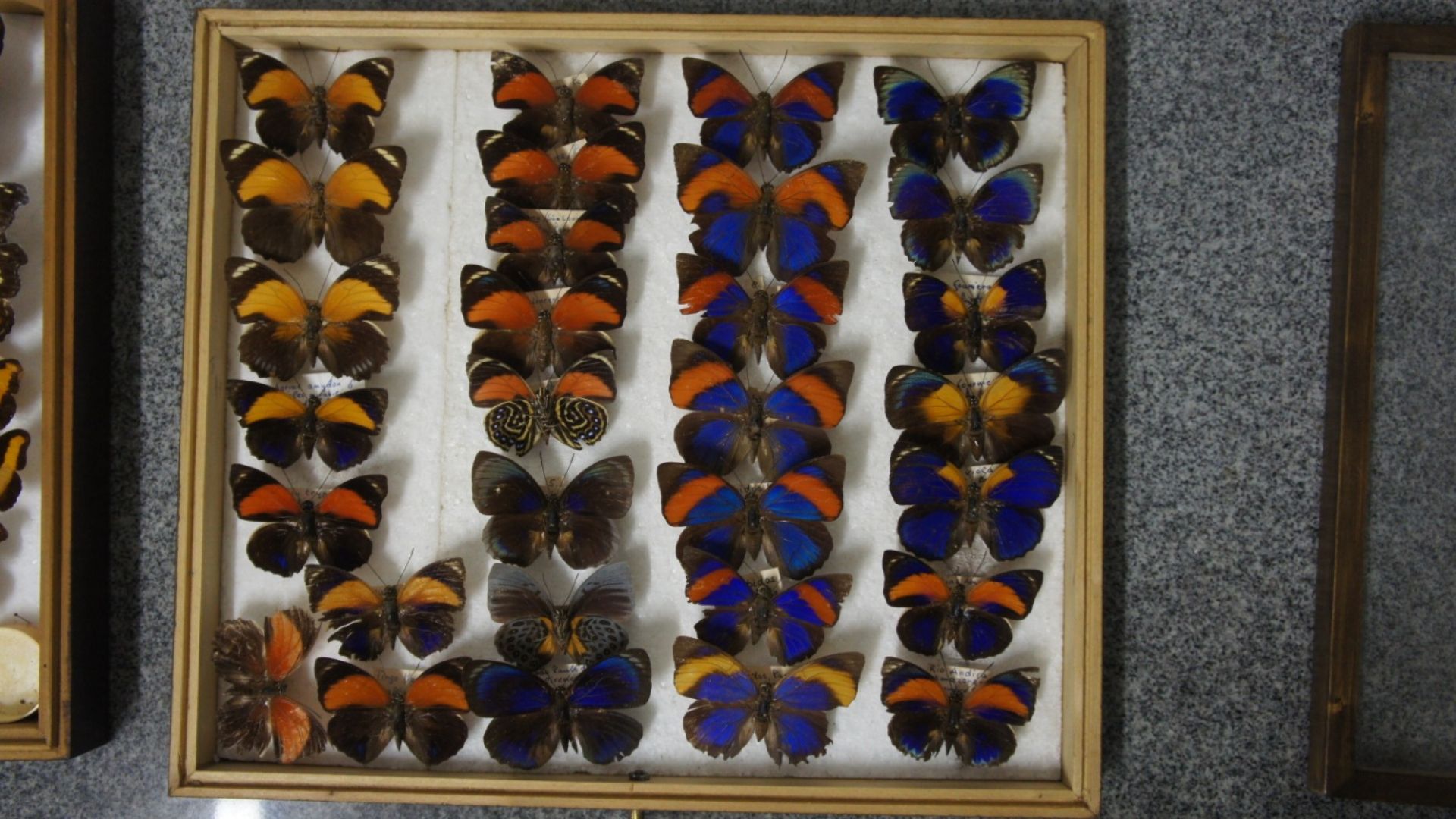 Projeto da UFPB ganha edital de recuperação e preservação de acervos Projeto da UFPB ganha edital de recuperação e preservação de acervos