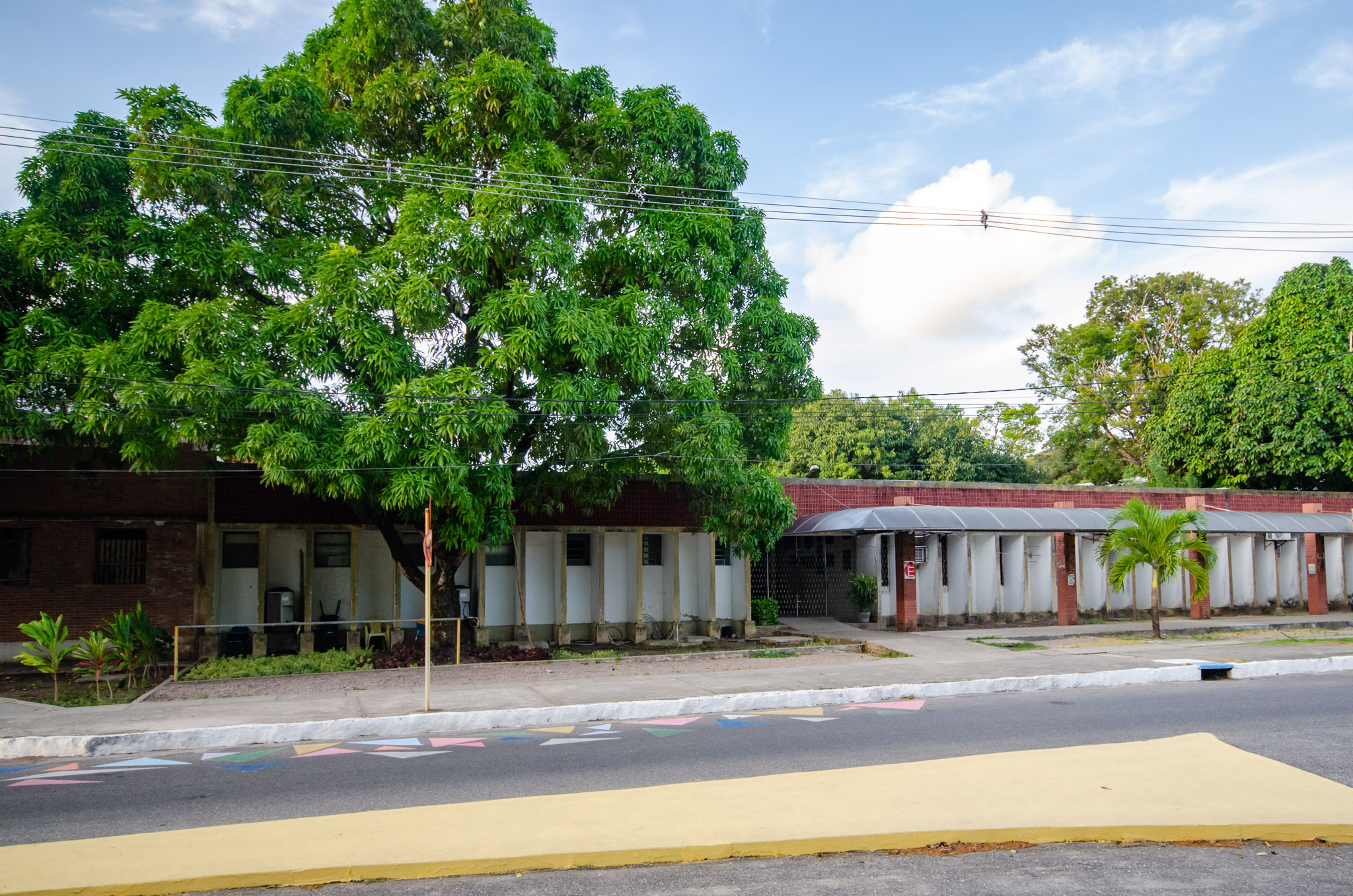 UFPB ABRE INSCRIÇÕES PARA AULAS DE T'AI-CHI CHUAN E PARA CORO HATSUHINODE Foto: Angélica Gouveia
