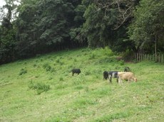 Residência funciona no campus II, em Areia. Crédito: Divulgação