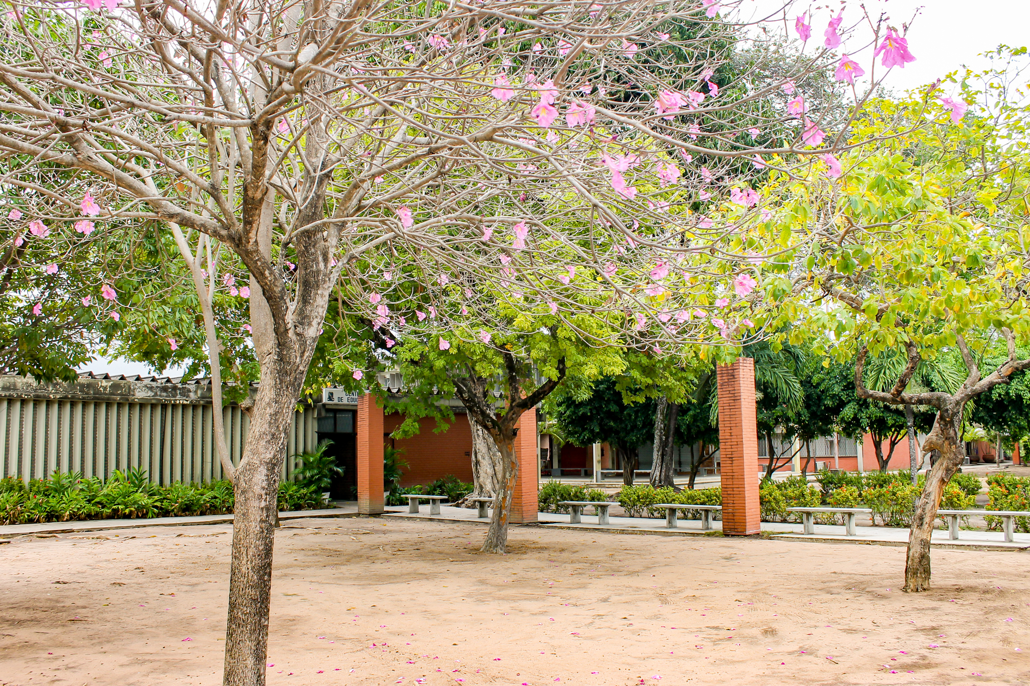 Foto: Angélica Gouveia